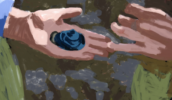 Painted photo of hand holding a clam
